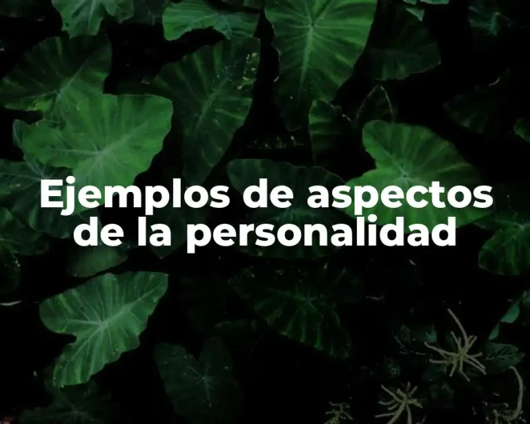 Ejemplos de aspectos de la personalidad