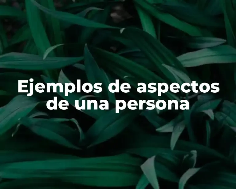 Ejemplos de aspectos de una persona