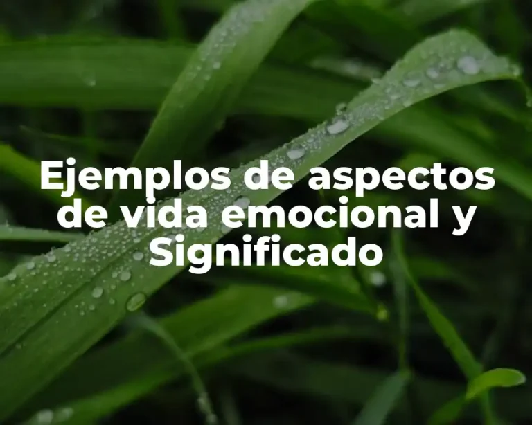 Ejemplos de aspectos de vida emocional y Significado