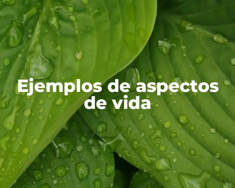 Ejemplos de aspectos de vida