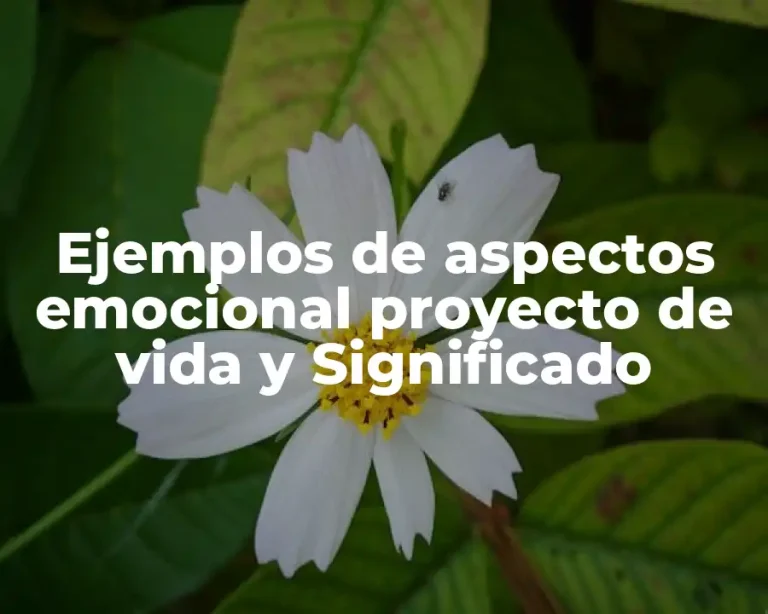 Ejemplos de aspectos emocional proyecto de vida y Significado