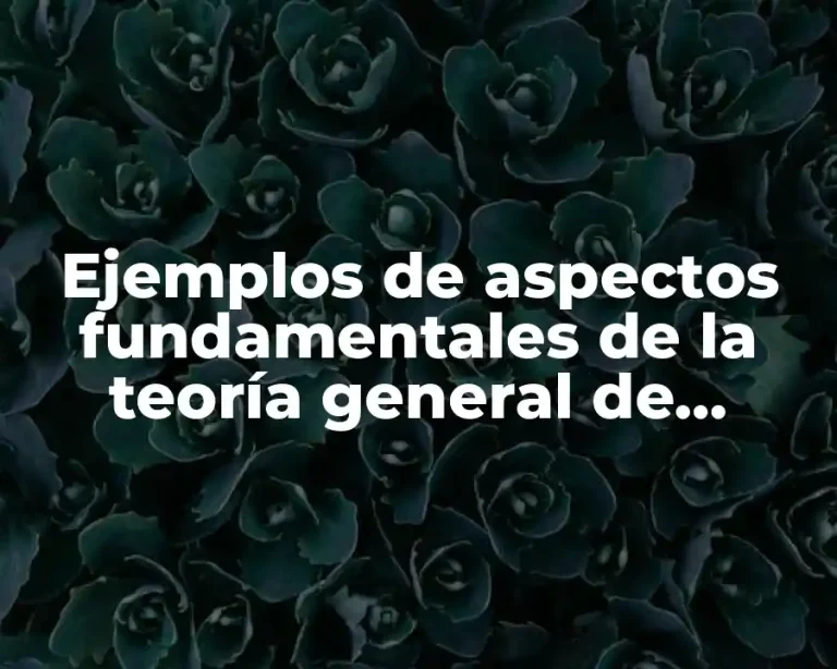 Ejemplos de aspectos fundamentales de la teoría general de sistemas