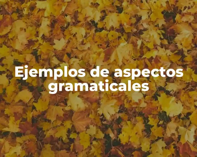 Ejemplos de aspectos gramaticales
