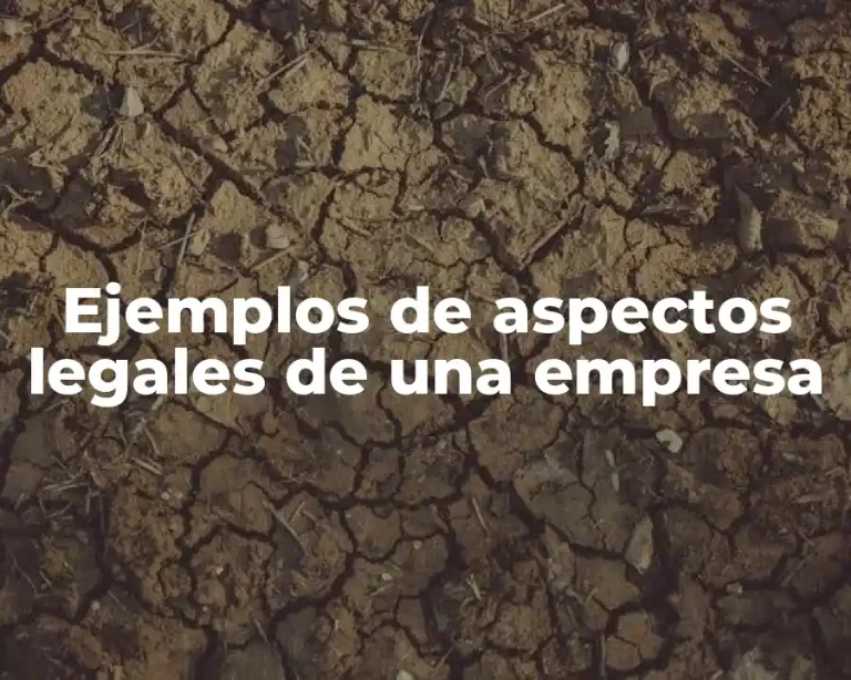 Ejemplos de aspectos legales de una empresa