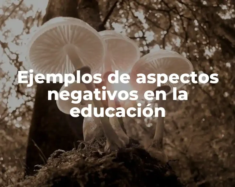 Ejemplos de aspectos negativos en la educación