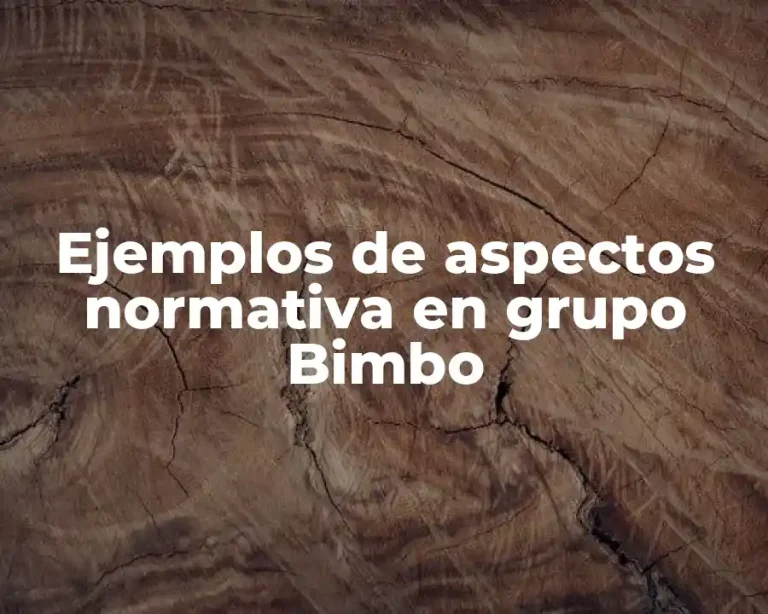 Ejemplos de aspectos normativa en grupo Bimbo