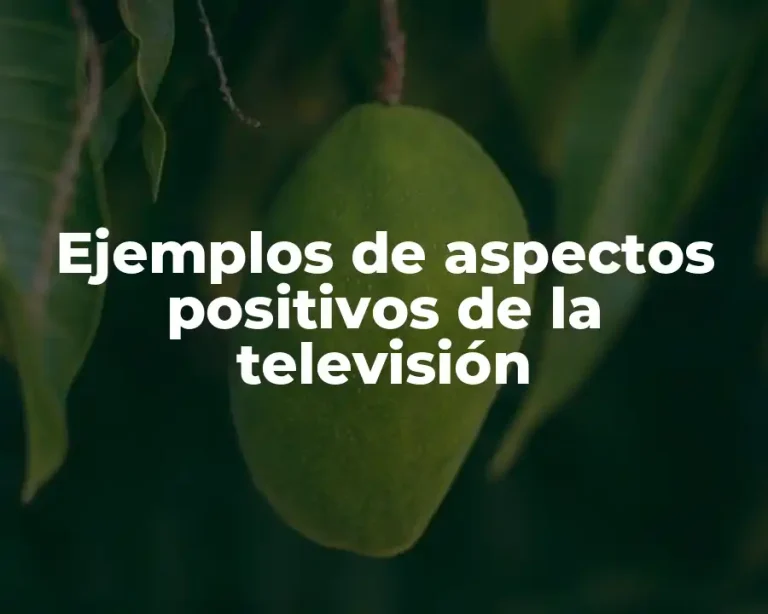 Ejemplos de aspectos positivos de la televisión