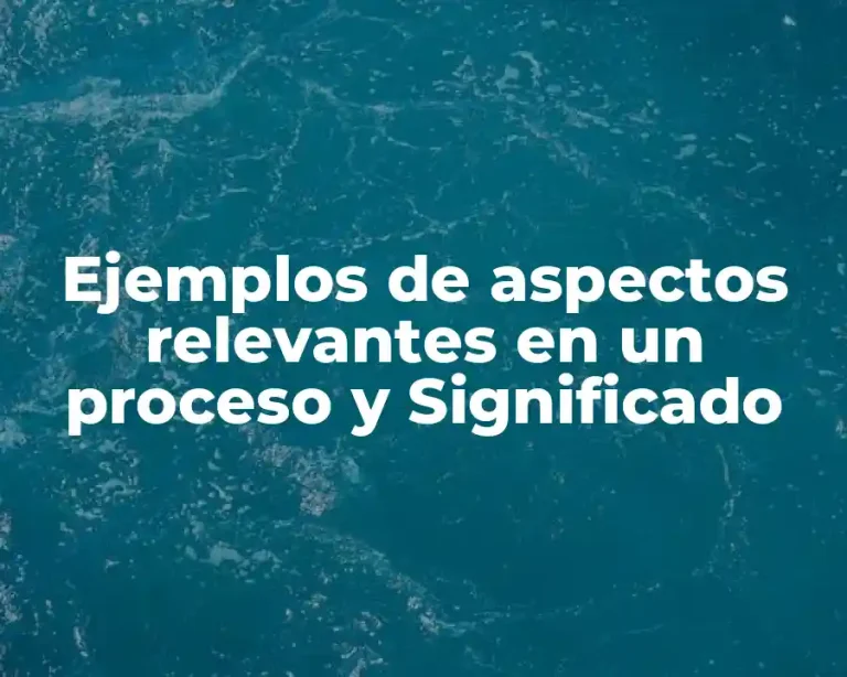 Ejemplos de aspectos relevantes en un proceso y Significado