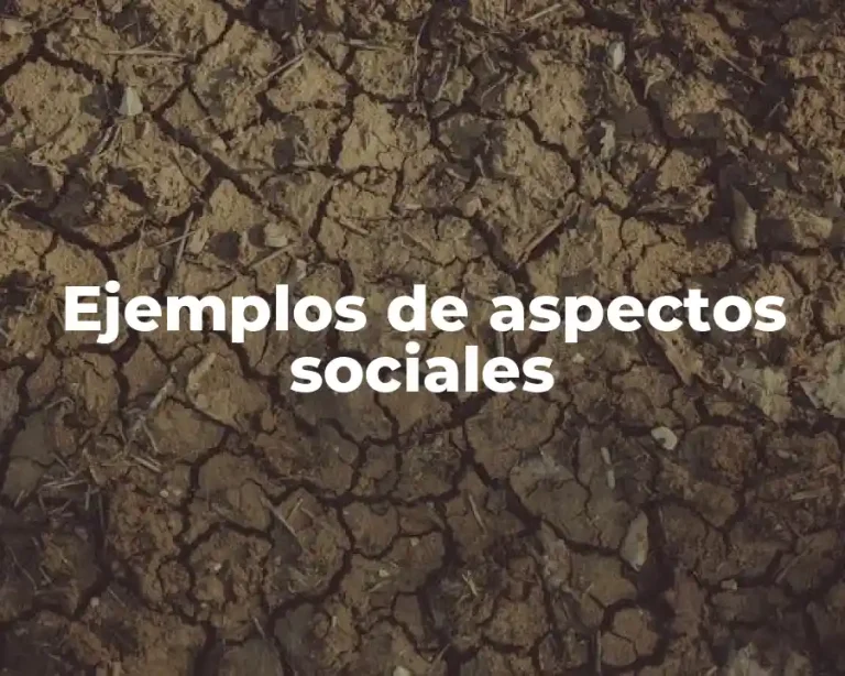 Ejemplos de aspectos sociales