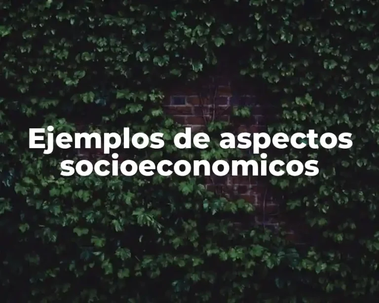 Ejemplos de aspectos socioeconomicos