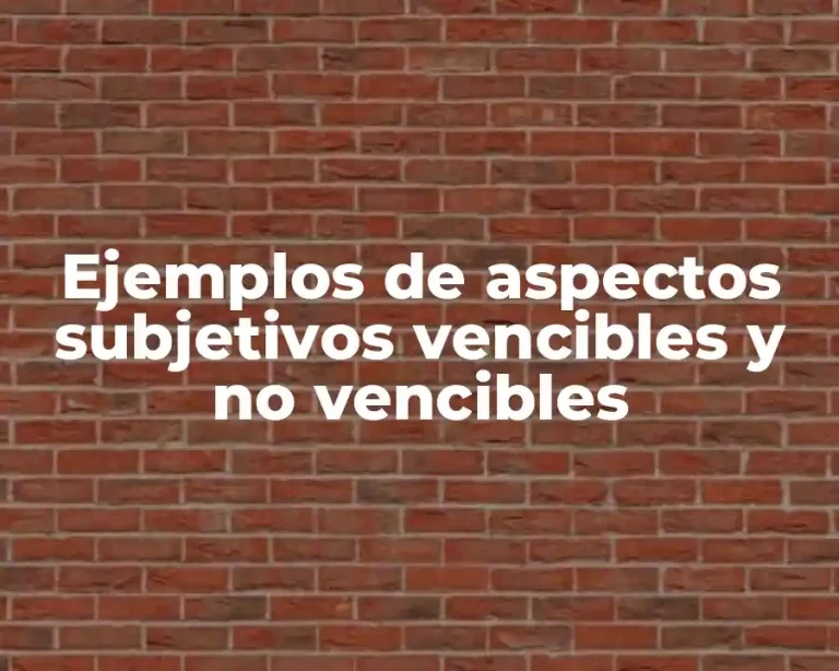 Ejemplos de aspectos subjetivos vencibles y no vencibles