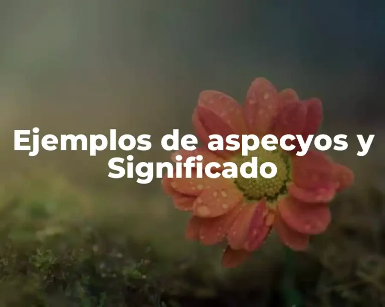 Ejemplos de aspecyos y Significado
