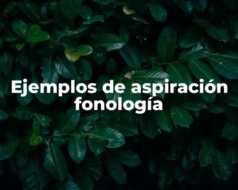 Ejemplos de aspiración fonología
