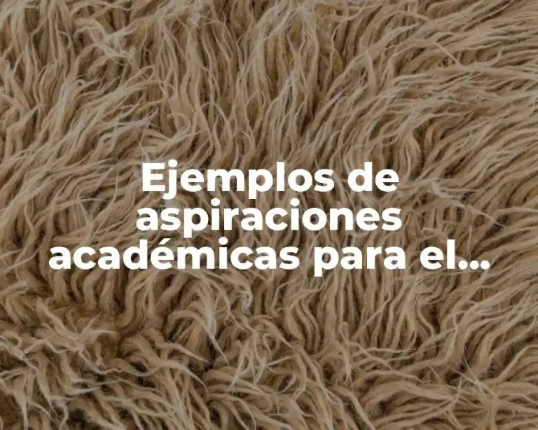 Ejemplos de aspiraciones académicas para el futuro