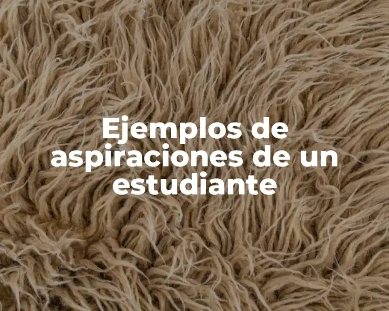 Ejemplos de aspiraciones de un estudiante