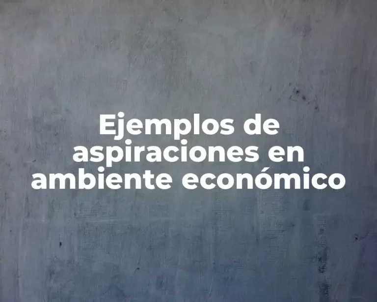 Ejemplos de aspiraciones en ambiente económico