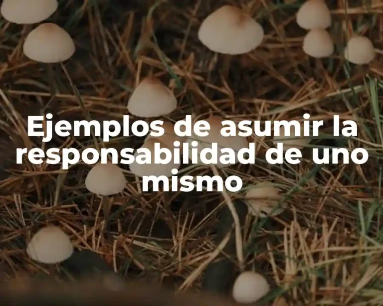 Ejemplos de asumir la responsabilidad de uno mismo