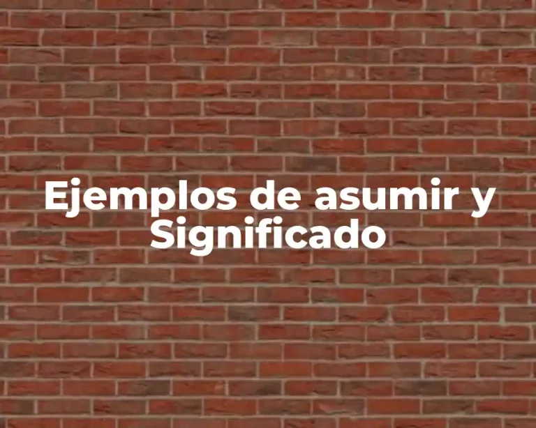 Ejemplos de asumir y Significado