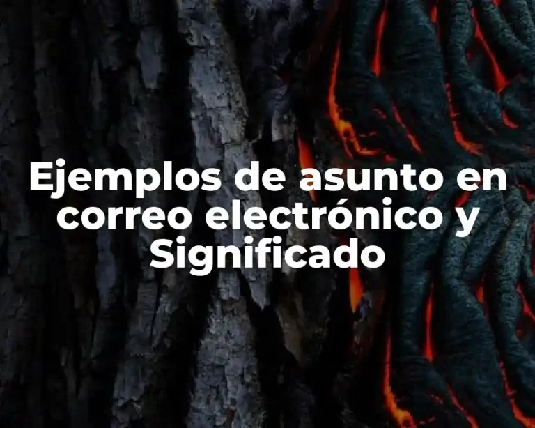 Ejemplos de asunto en correo electrónico y Significado