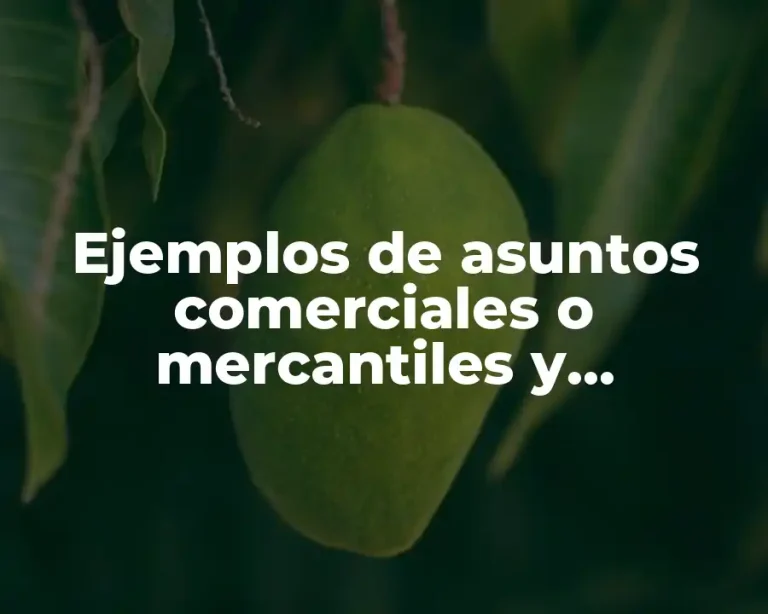 Ejemplos de asuntos comerciales o mercantiles y Significado