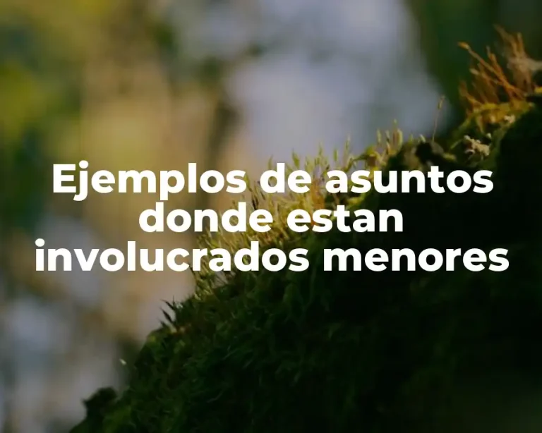 Ejemplos de asuntos donde estan involucrados menores