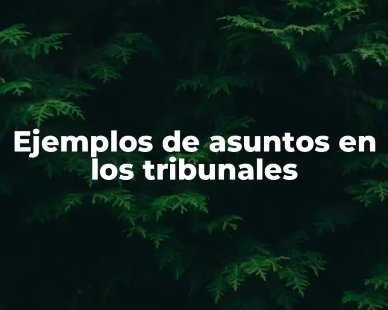 Ejemplos de asuntos en los tribunales