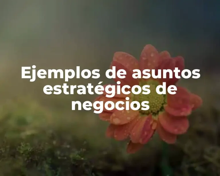 Ejemplos de asuntos estratégicos de negocios