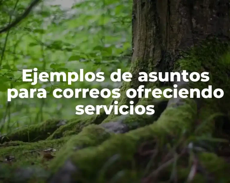 Ejemplos de asuntos para correos ofreciendo servicios