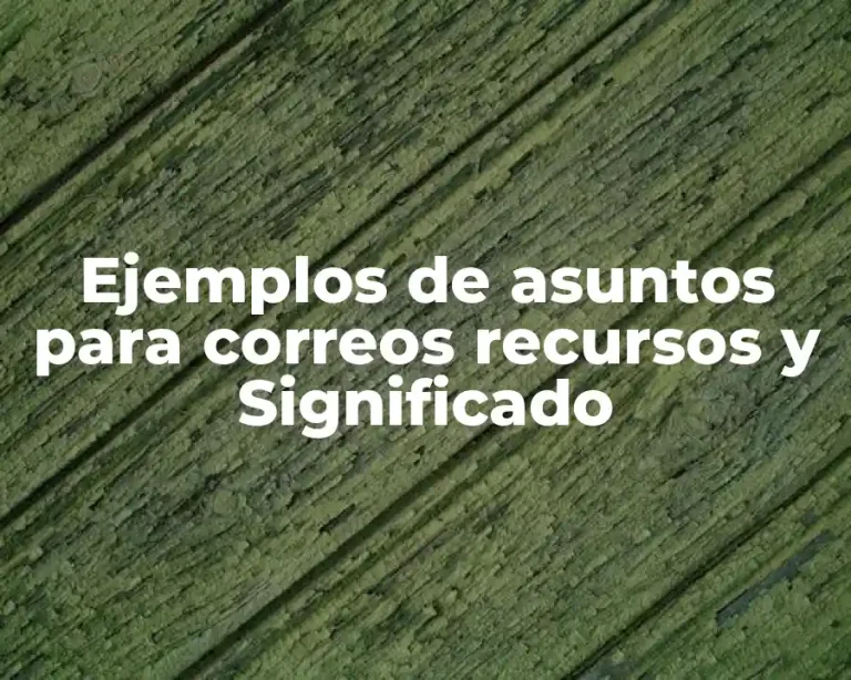 Ejemplos de asuntos para correos recursos y Significado
