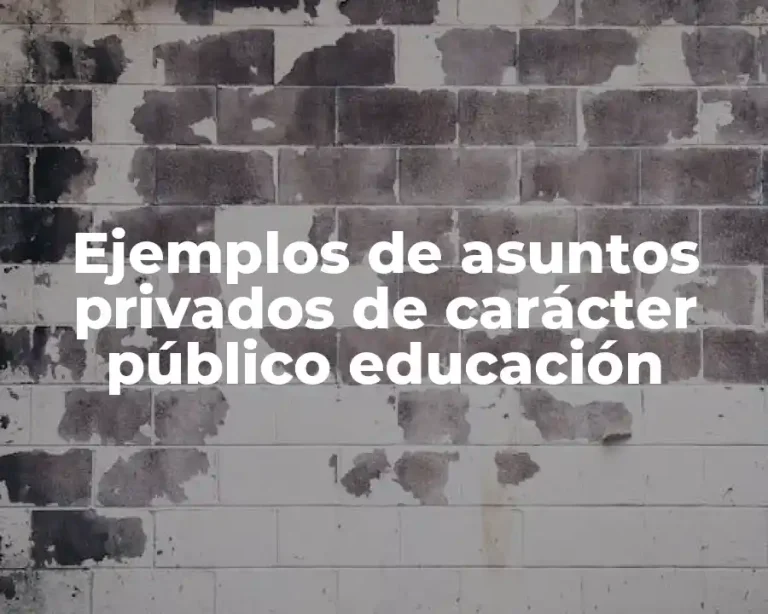 Ejemplos de asuntos privados de carácter público educación