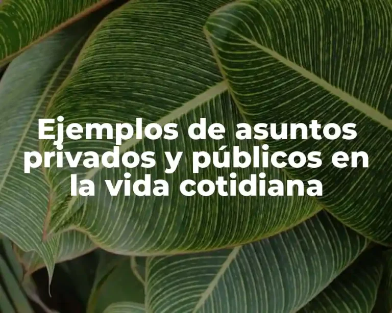 Ejemplos de asuntos privados y públicos en la vida cotidiana