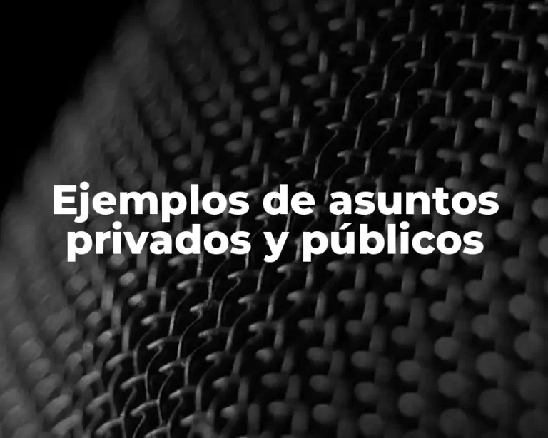 Ejemplos de asuntos privados y públicos