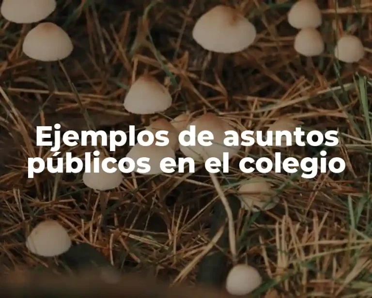 Ejemplos de asuntos públicos en el colegio