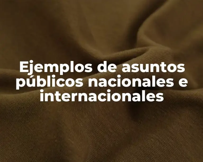 Ejemplos de asuntos públicos nacionales e internacionales