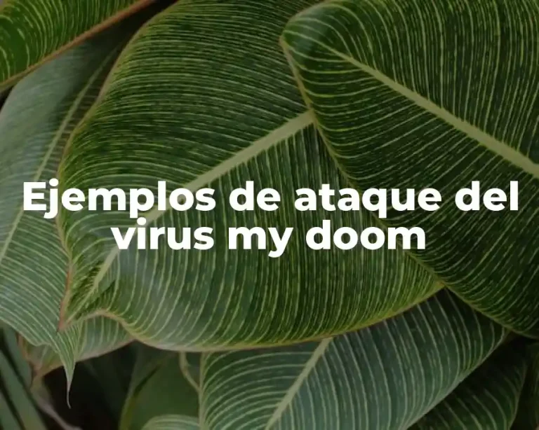 Ejemplos de ataque del virus my doom