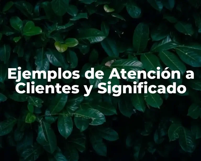 Ejemplos de Atención a Clientes y Significado