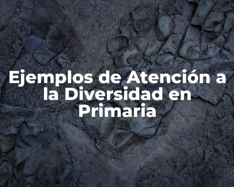 Ejemplos de Atención a la Diversidad en Primaria