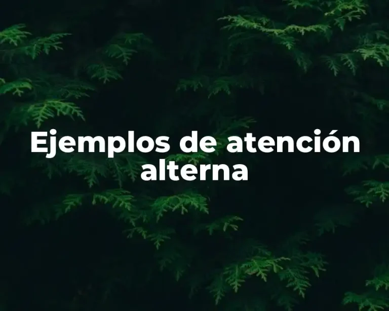 Ejemplos de atención alterna