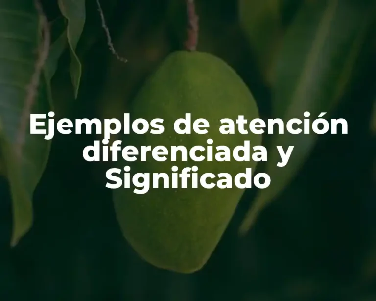 Ejemplos de atención diferenciada y Significado