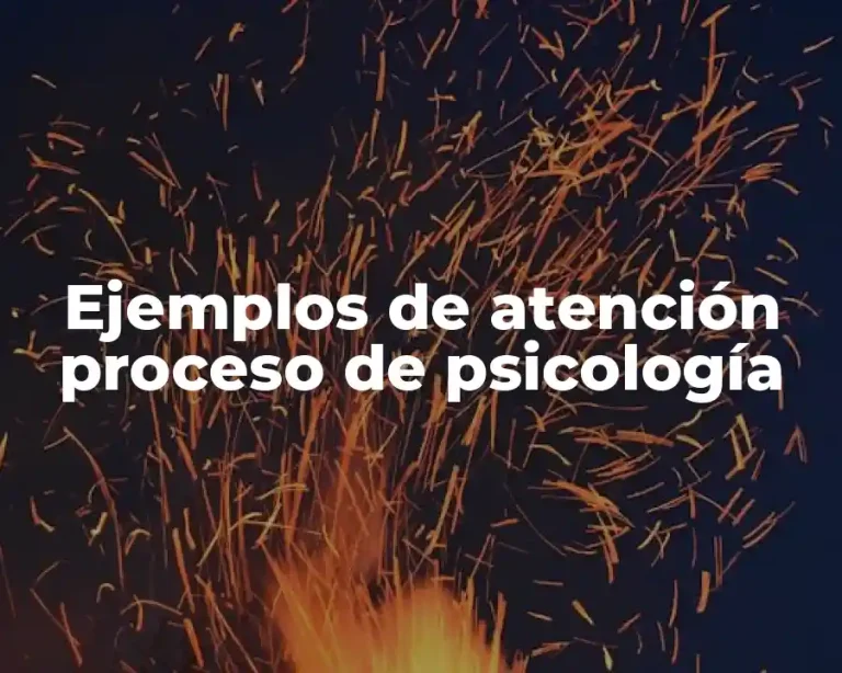Ejemplos de atención proceso de psicología