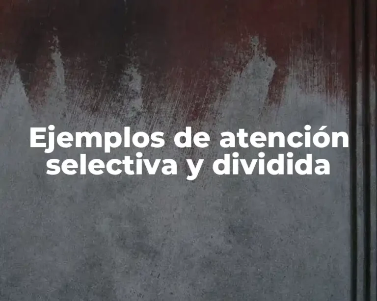 Ejemplos de atención selectiva y dividida