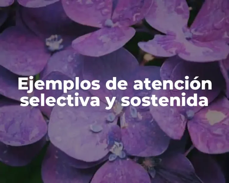 Ejemplos de atención selectiva y sostenida