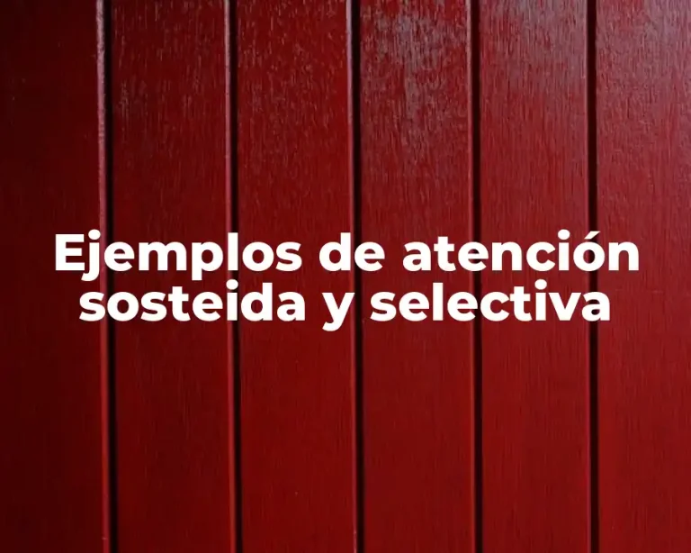 Ejemplos de atención sosteida y selectiva