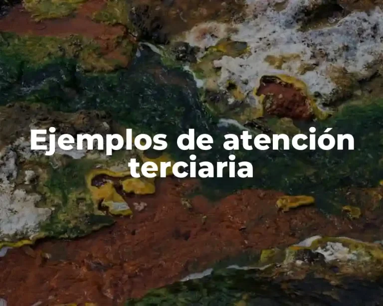 Ejemplos de atención terciaria
