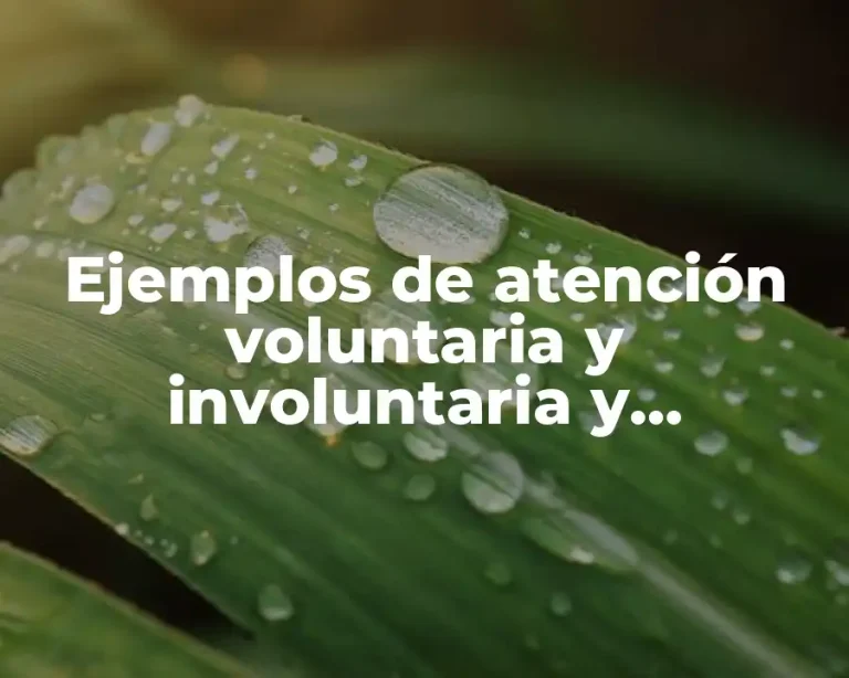 Ejemplos de atención voluntaria y involuntaria y Significado