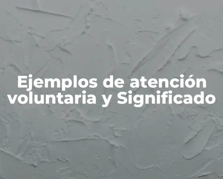 Ejemplos de atención voluntaria y Significado
