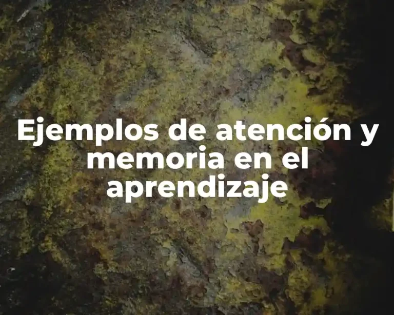 Ejemplos de atención y memoria en el aprendizaje