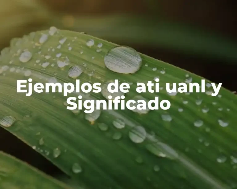 Ejemplos de ati uanl y Significado