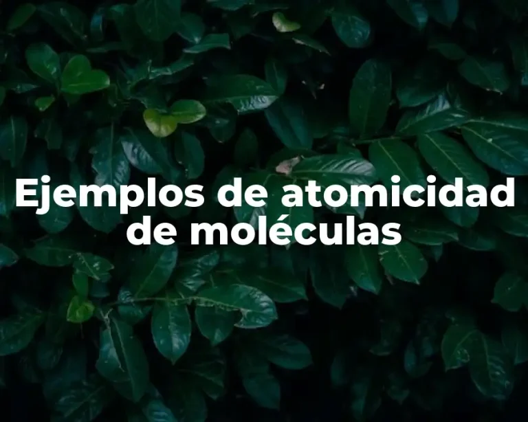 Ejemplos de atomicidad de moléculas