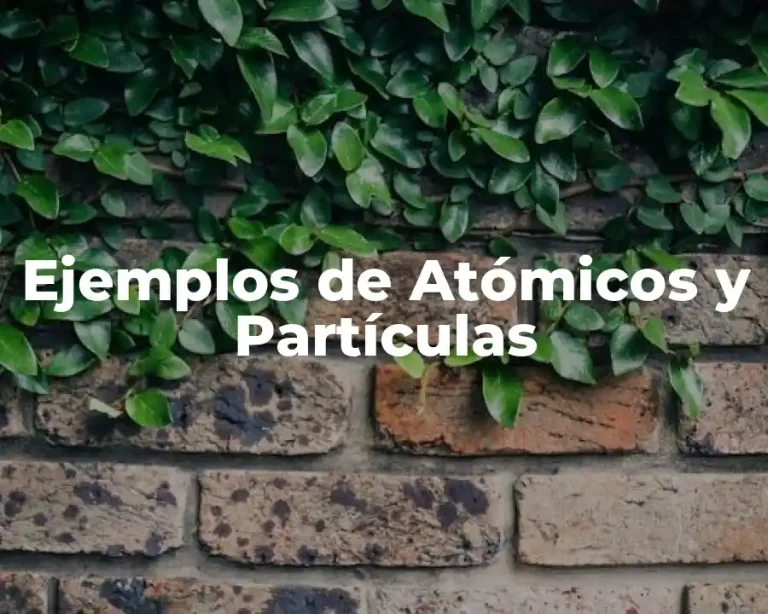 Ejemplos de Atómicos y Partículas